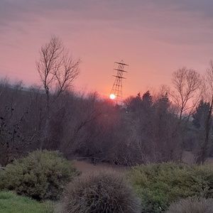 Meet your Posher, Diego